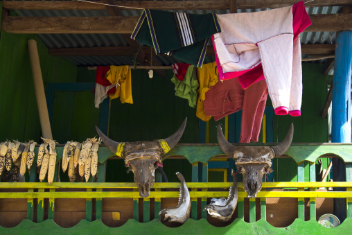 Buffalos And Gaurs Skulls On A Chin House, Mindat, Myanmar