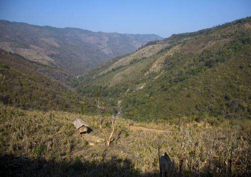 Path In The Hills, Mindat, Myanmar