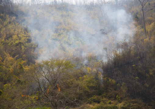 Forest Fire, Mindat, Myanmar