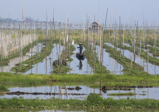 Floating Gardens, Inle Lake, Myanmar