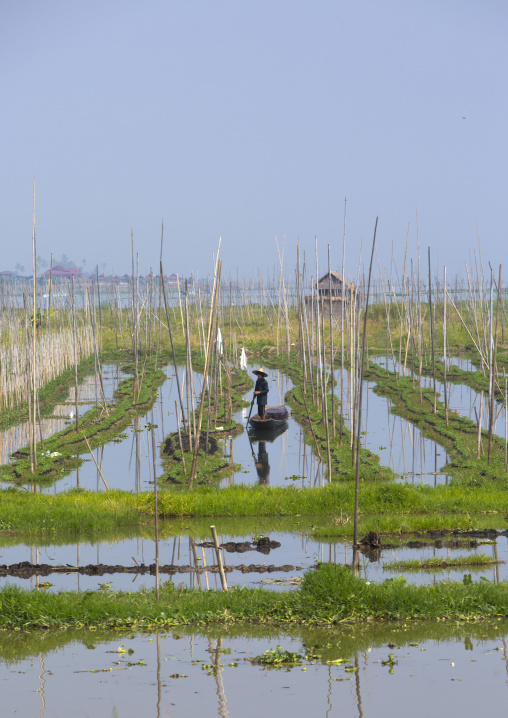 Floating Gardens, Inle Lake, Myanmar