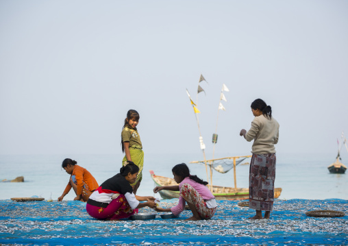 Women Putting Dried Fish On The Floor, Ngapali, Myanmar