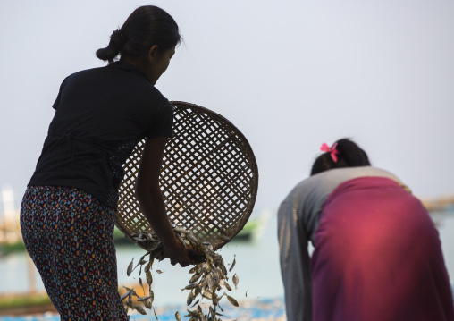 Women Putting Dried Fish On The Floor, Ngapali, Myanmar