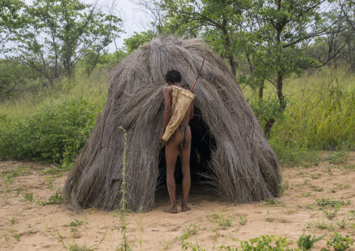 Hut In A Traditional Village, Tsumkwe, Namibia