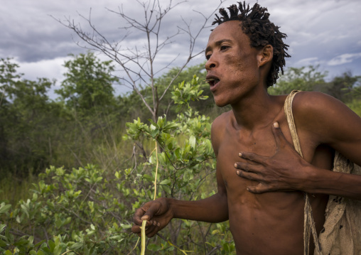 Bushman Collecting Medicinal Plants, Tsumkwe, Namibia