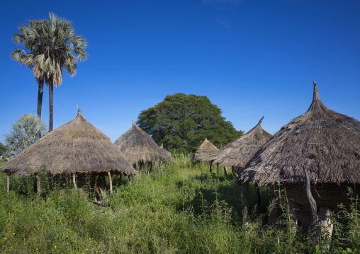 Granaries, Ondangwa, Namibia