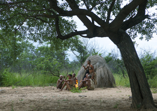 Huts In A Traditional Village, Tsumkwe, Namibia