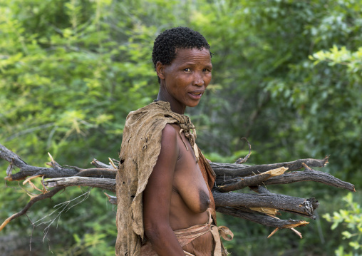 Bushman Woman Carrying Wood, Tsumkwe, Namibia