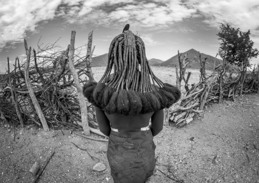 Himba Woman Hairstyle, Epupa, Namibia