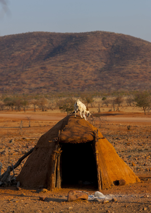 Shelter For Goats In A Traditional Himba Village, Epupa, Namibia