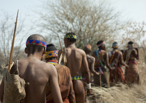 Group Of Sans Walking In The Bush, Namibia