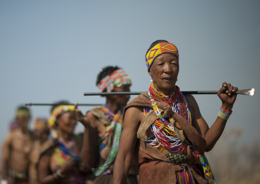 Group Of San Women Walking In The Bush, Namibia