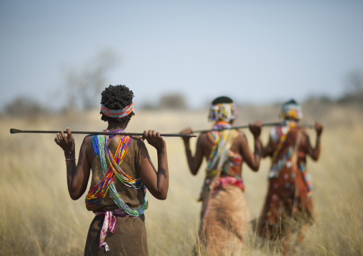 San Women Walking In The Bush, Namibia