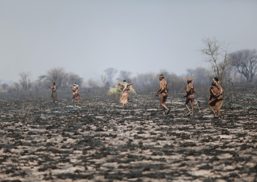 Group Of Sans Walking On Burnt Lands In The Bush, Namibia