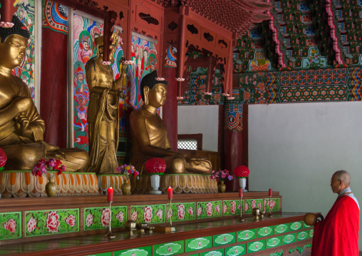 North Korean monk praying in Pohyon-sa Korean buddhist temple, North Pyongan Province, Myohyang-san, North Korea