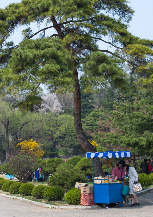 Drinks stall in a park, Pyongan Province, Pyongyang, North Korea