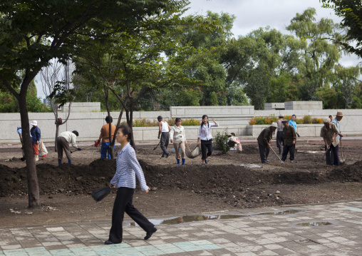 North Korean people doing collective works in the street, Pyongan Province, Pyongyang, North Korea