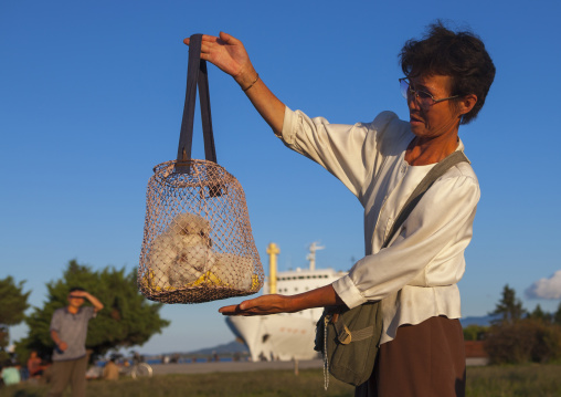 North Korean woman buying dogs in a market, Kangwon Province, Wonsan, North Korea