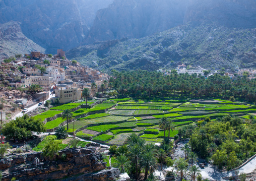 Village with lush green irrigated terraces, Al Hajar Mountains, Bilad Sayt, Oman