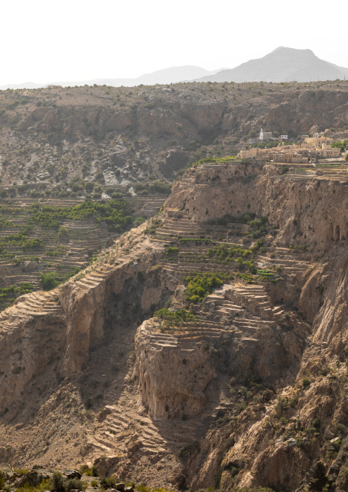 Old village with terraces to grow roses, Jebel Akhdar, Sayq, Oman