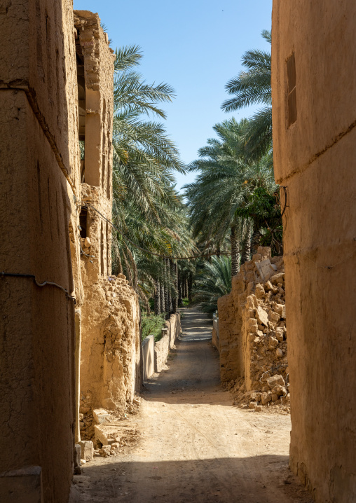 Stone and mudbrick houses in an abandoned village in an oasis, Ad Dakhiliyah Region, Al Hamra, Oman