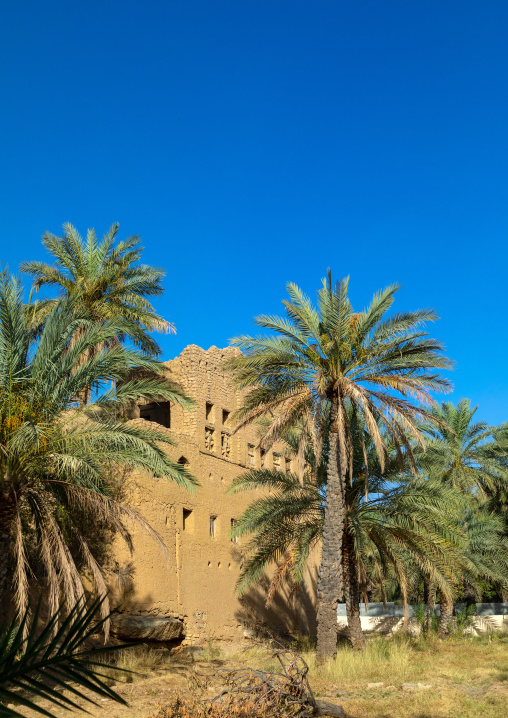 Old abandoned house in an oasis, Ad Dakhiliyah Region, Al Hamra, Oman