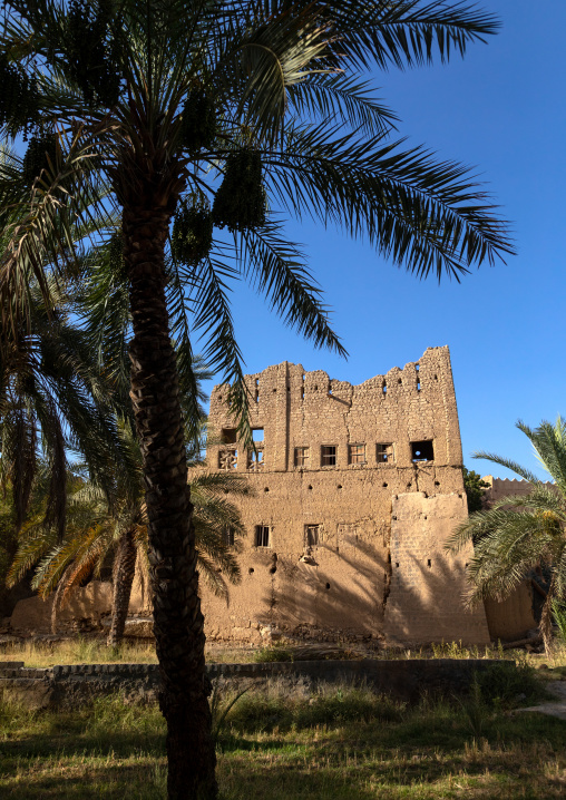 Old abandoned house in an oasis, Ad Dakhiliyah Region, Al Hamra, Oman