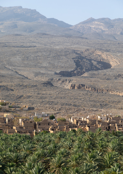 Old village in an oasis in front of the mountain, Ad Dakhiliyah Region, Al Hamra, Oman