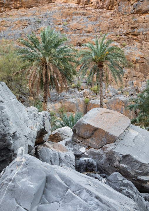 Wadi al nakhar, Ad Dakhiliyah Region, Wadi Al Nakhar, Oman