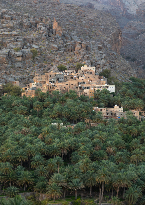 Old village in an oasis in front of the mountain, Ad Dakhiliyah Region, Misfat al Abriyyin, Oman