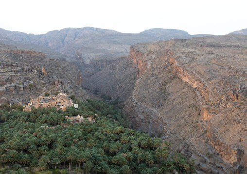 Old village in an oasis in front of the mountain, Ad Dakhiliyah Region, Misfat al Abriyyin, Oman