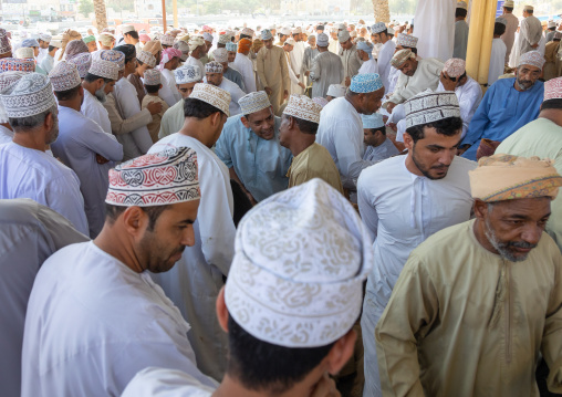 Omani men selling and buying cattle in the market, Ad Dakhiliyah Region, Nizwa, Oman