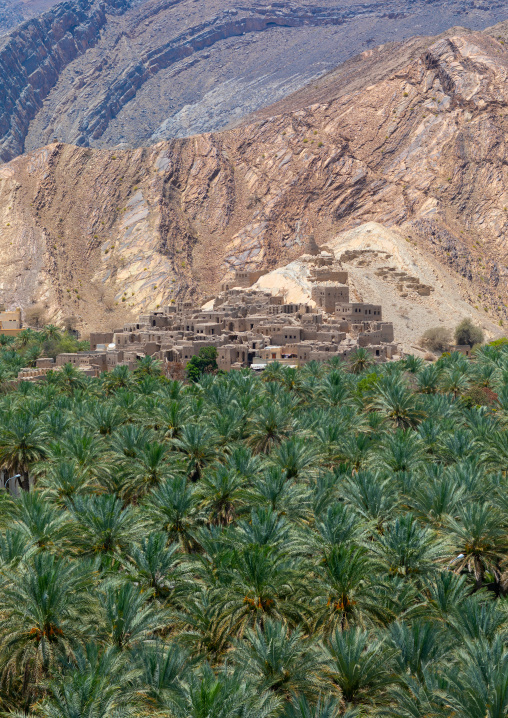 Old village in the middle of an oasis, Ad Dakhiliyah ‍Governorate, Birkat Al Mouz, Oman