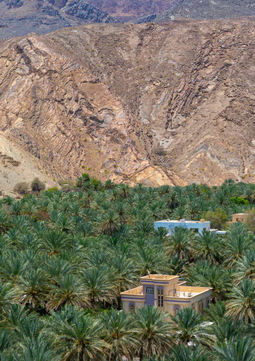 Old village in the middle of an oasis, Ad Dakhiliyah ‍Governorate, Birkat Al Mouz, Oman