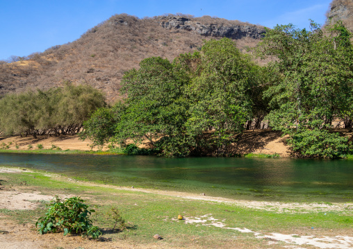 Wadi dirba, Dhofar Governorate, Qara Mountains, Oman