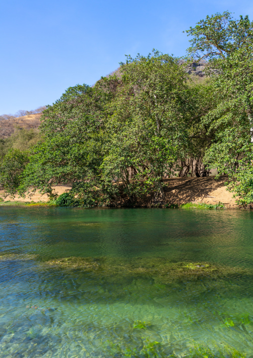 Wadi dirba, Dhofar Governorate, Qara Mountains, Oman