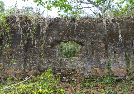 Panama, Darien Province, Boca Grande, Fuerte San Lorenzo Ruins