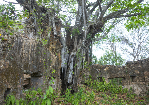 Panama, Darien Province, Boca Grande, Fuerte San Lorenzo Ruins