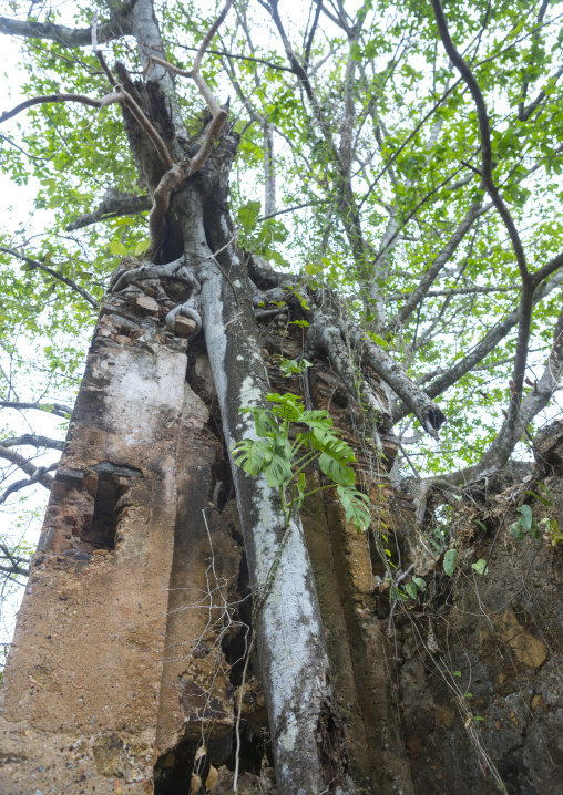 Panama, Darien Province, Boca Grande, Fuerte San Lorenzo Ruins