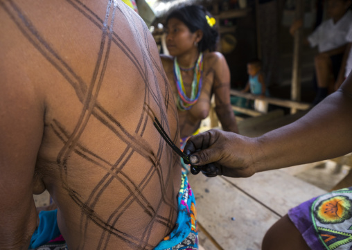 Panama, Darien Province, Bajo Chiquito, Woman Of The Native Indian Embera Tribe Is Ceremonially Decorated With Jagua Bodypaint