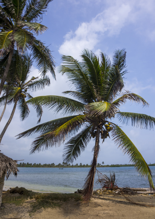 Panama, San Blas Islands, Mamitupu, Tropical Kuna Tribe Island In The Caribbean