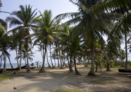 Panama, San Blas Islands, Mamitupu, Tropical Kuna Tribe Island In The Caribbean