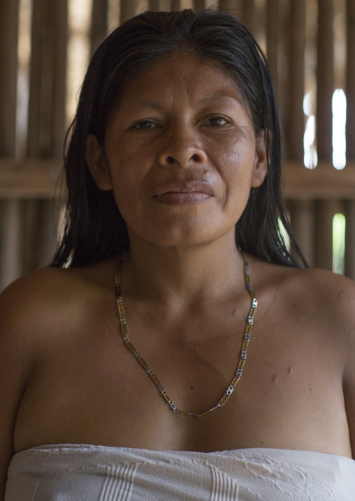 Panama, Darien Province, Puerta Lara, Woman Of Wounaan Native Community