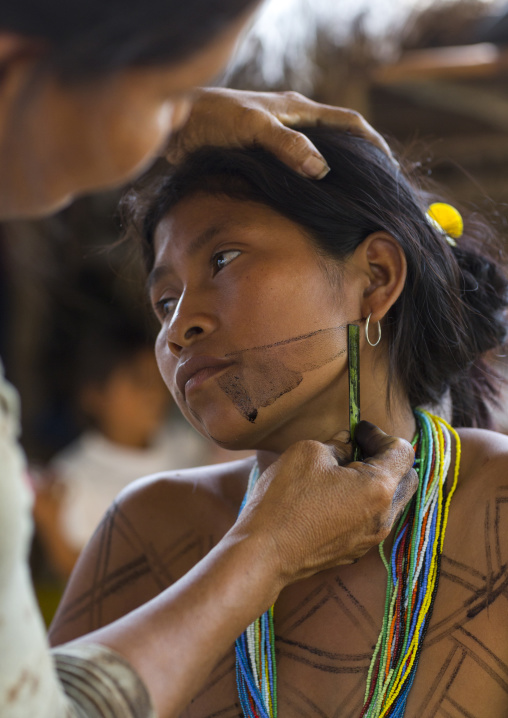 Panama, Darien Province, Bajo Chiquito, Woman Of The Native Indian Embera Tribe Is Ceremonially Decorated With Jagua Bodypaint