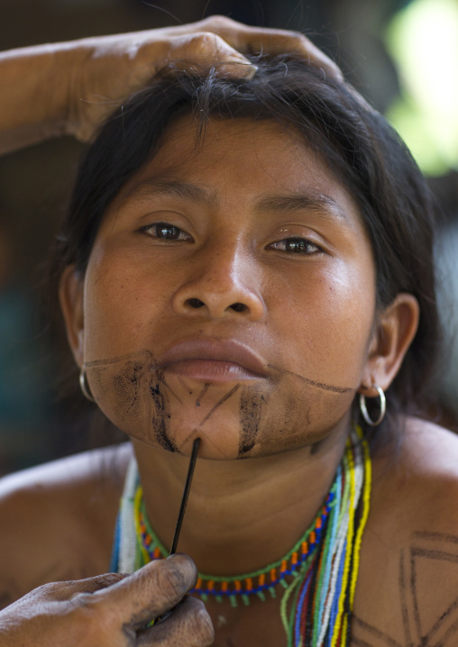 Panama, Darien Province, Bajo Chiquito, Woman Of The Native Indian Embera Tribe Is Ceremonially Decorated With Jagua Bodypaint