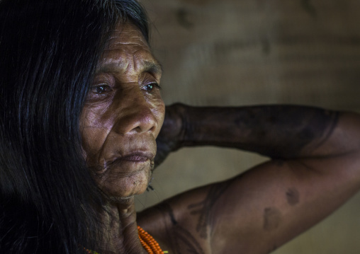 Panama, Darien Province, Bajo Chiquito, Woman Of The Native Indian Embera Tribe