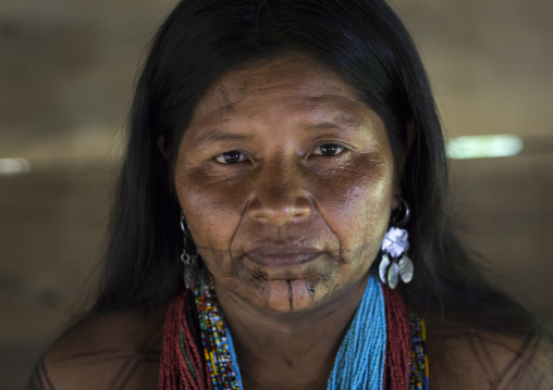 Panama, Darien Province, Bajo Chiquito, Woman Of The Native Indian Embera Tribe