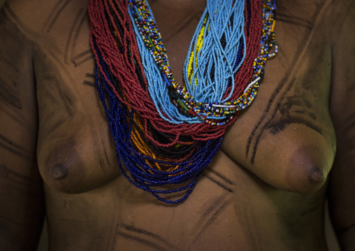 Panama, Darien Province, Bajo Chiquito, Woman Of The Native Indian Embera Tribe Close Up