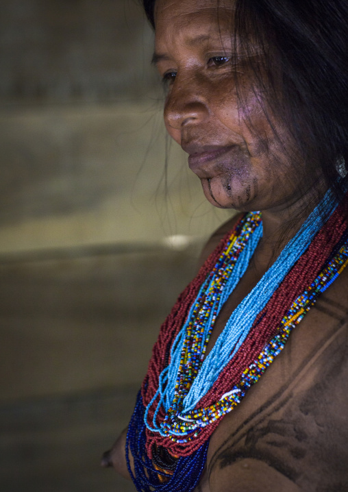 Panama, Darien Province, Bajo Chiquito, Woman Of The Native Indian Embera Tribe