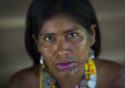 Panama, Darien Province, Bajo Chiquito, Woman Of The Native Indian Embera Tribe